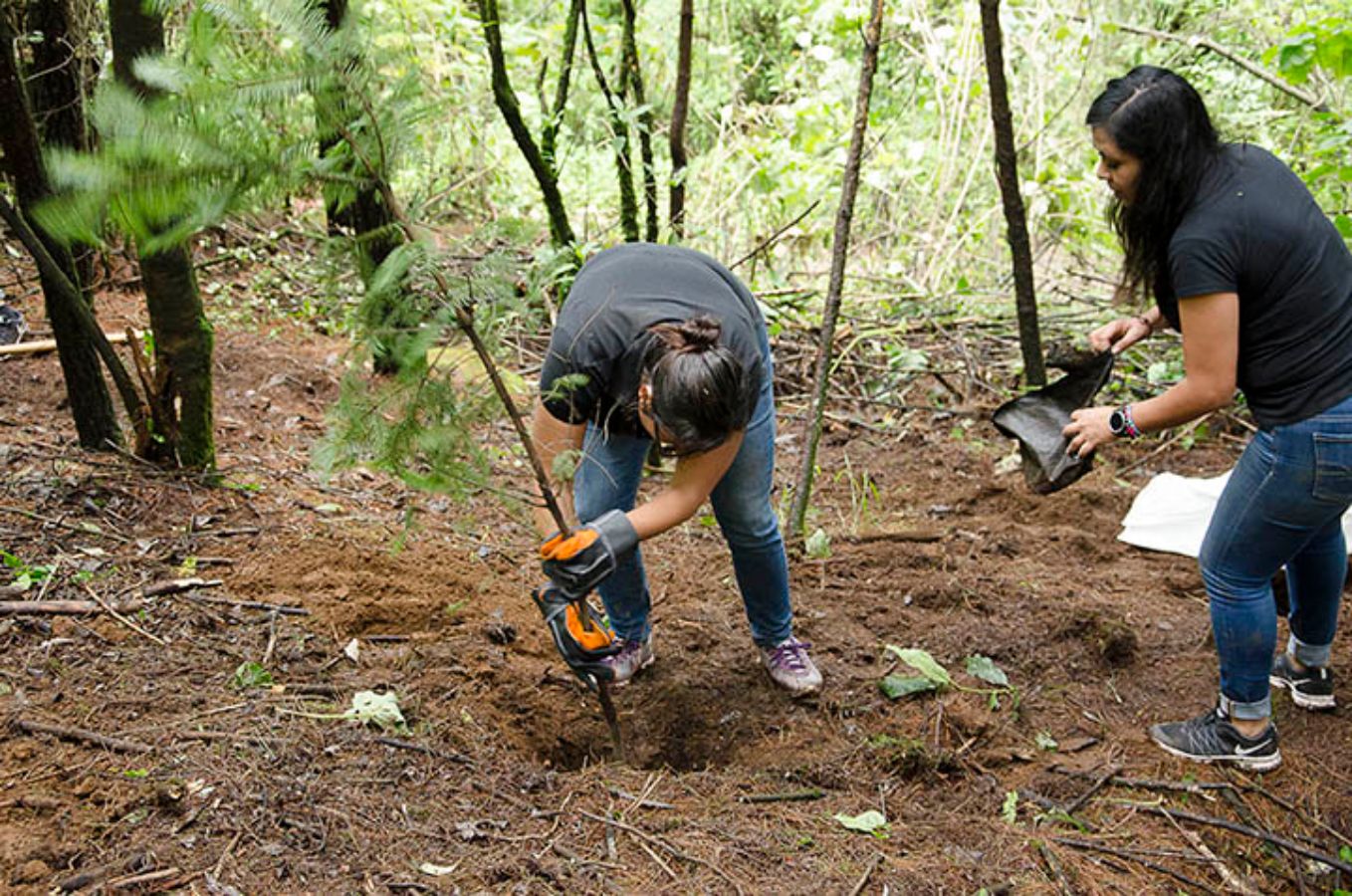 CHG-MERIDIAN CARE Initiative